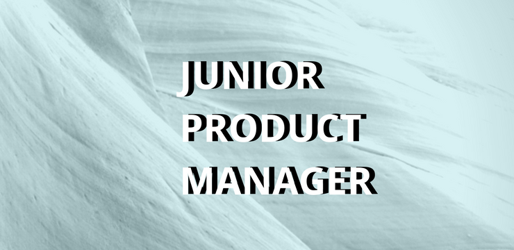 The Netflix Character Guide to Hiring a Junior Product Manager